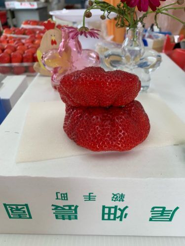 c4265b3f-f76c-422f-ba1e-4f96fff9e0d5